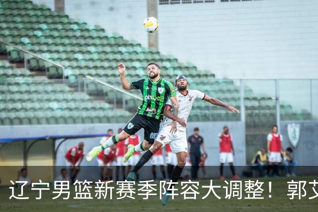 辽宁男篮新赛季阵容大调整！郭艾伦或重返辽篮，杨鸣有望回归